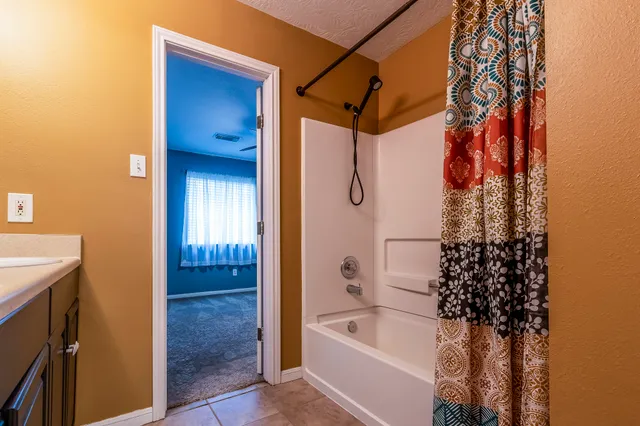 a view of a park with large trees