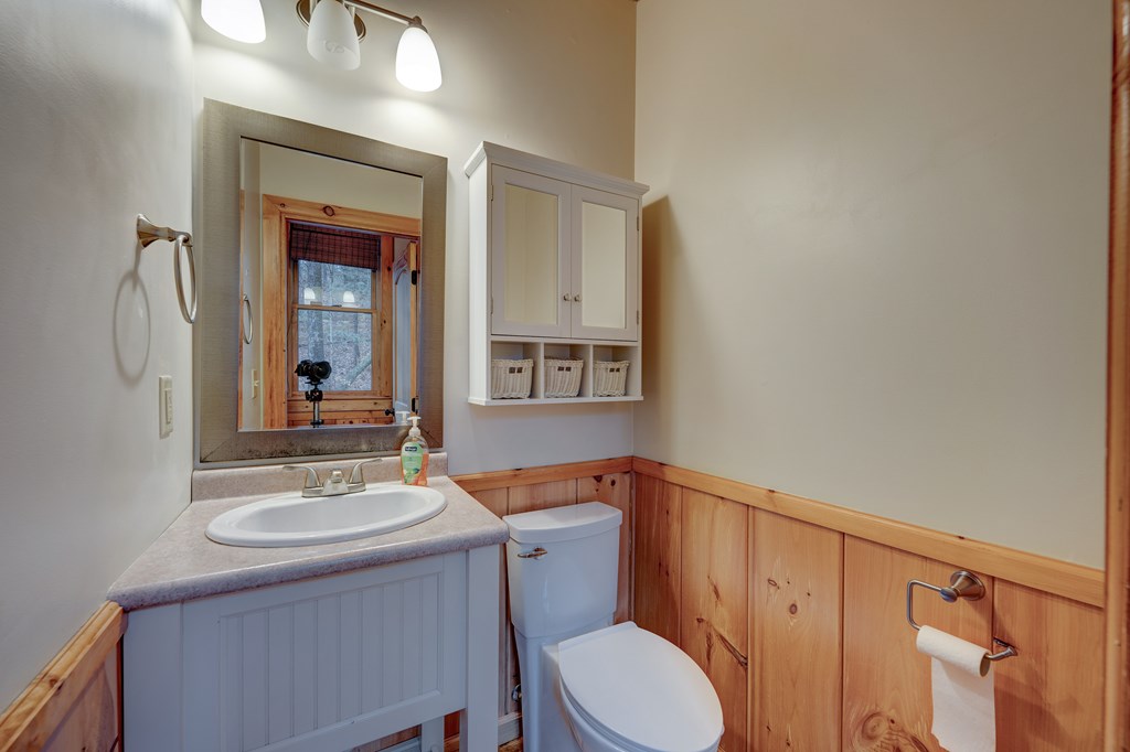 1070 Maggie Chapman Road Blue Ridge, GA 30513 - Photo 7 of 47 Gallery Image 7