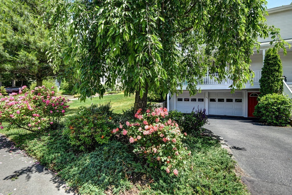 160 Maple Street, Unit 160 Needham, MA 02492 - Photo 28 of 36