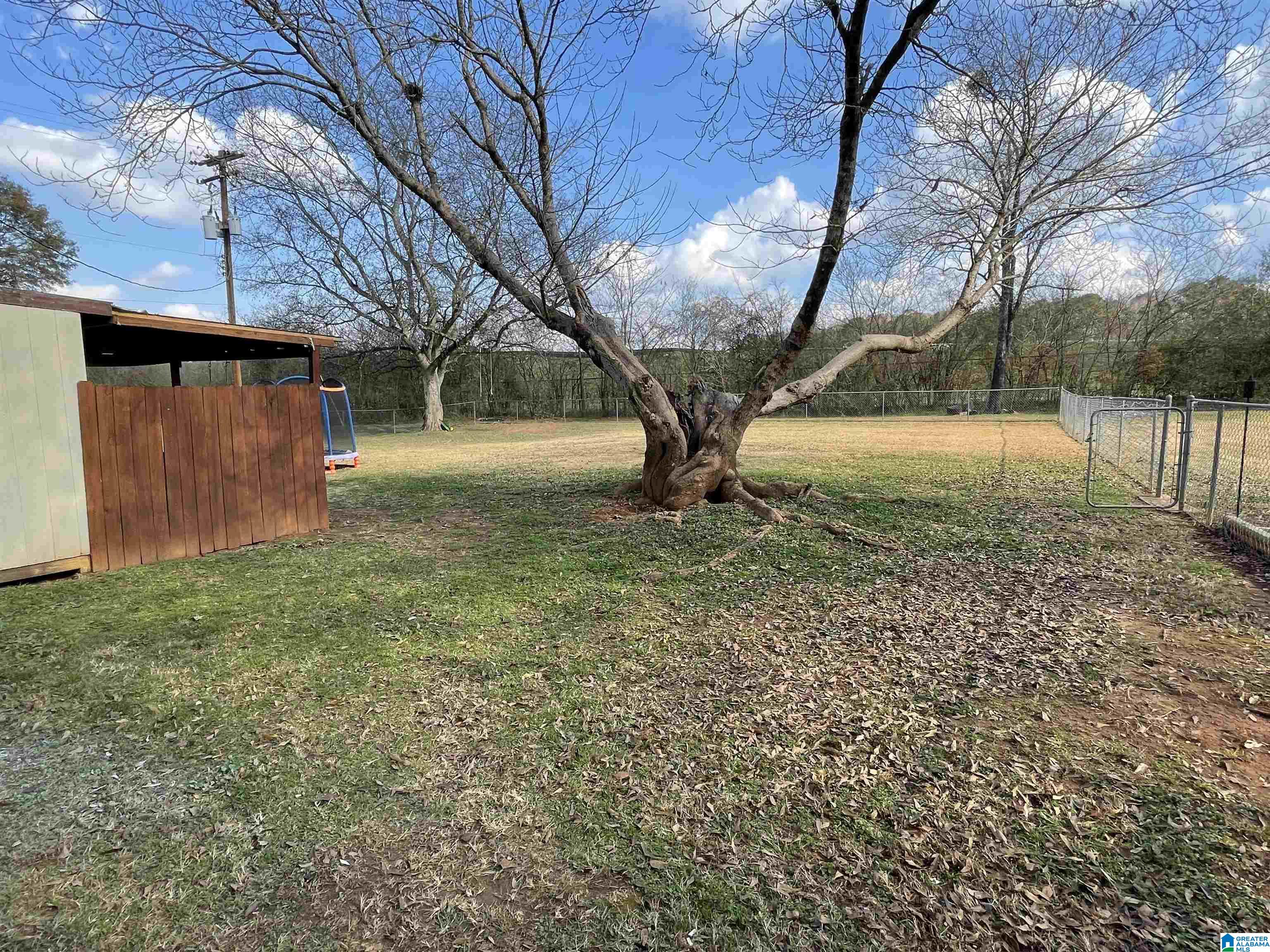 110 Mitchell Street Wilsonville, AL 35186 - Photo 17 of 17