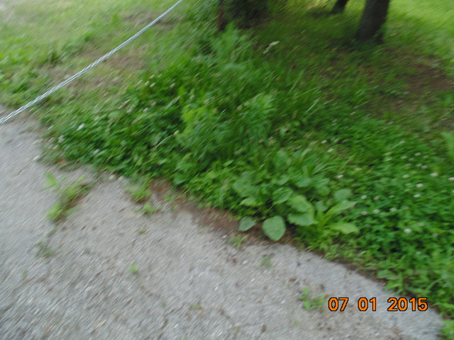 18552 Wolf Road Mokena, IL 60448 - Photo 2 of 3