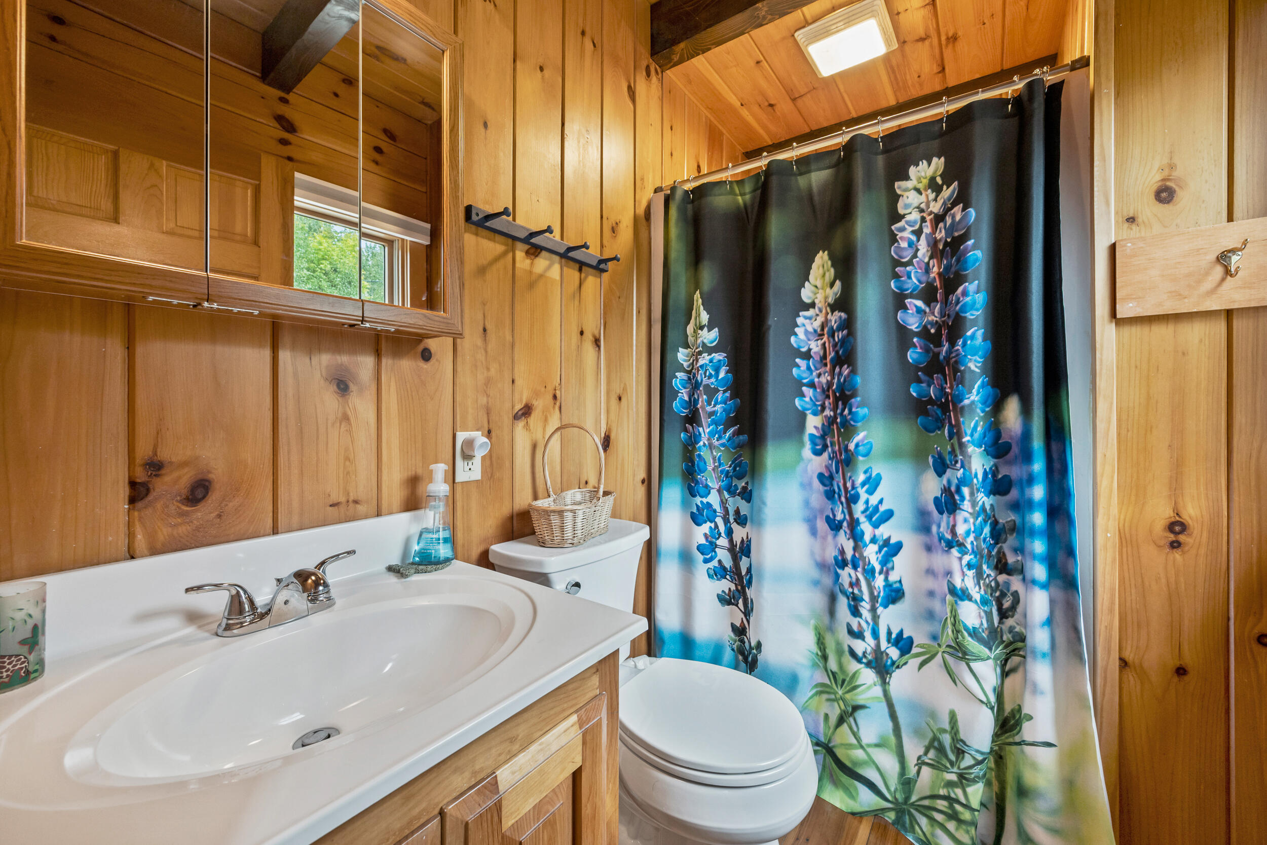 765 Dallas Hill Road Dallas Plt, ME 04970 - Photo 8 of 42 Bathroom