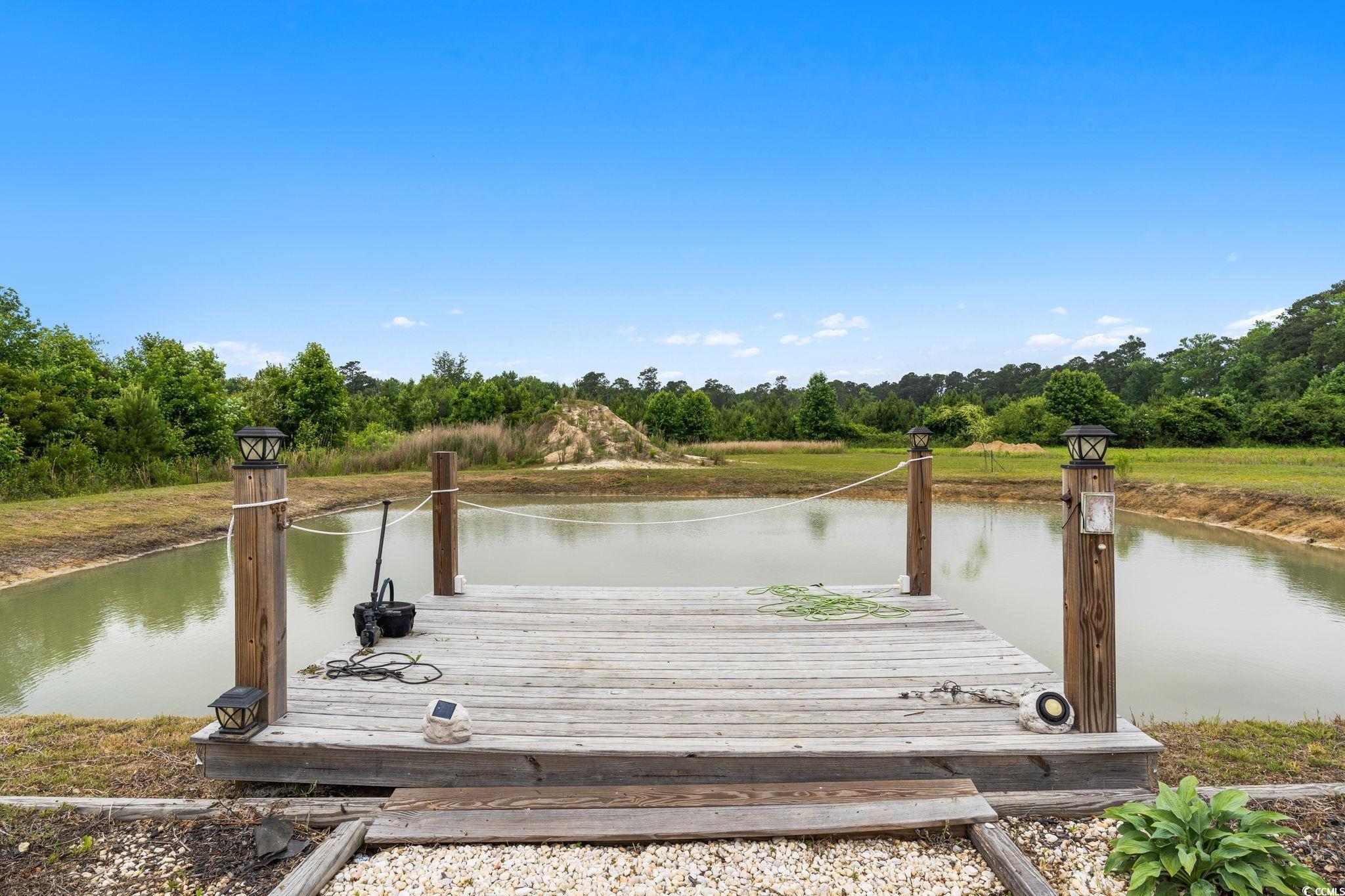 167 Dove Road Loris, SC 29569 - Photo 32 of 40 Dock area featuring a water view