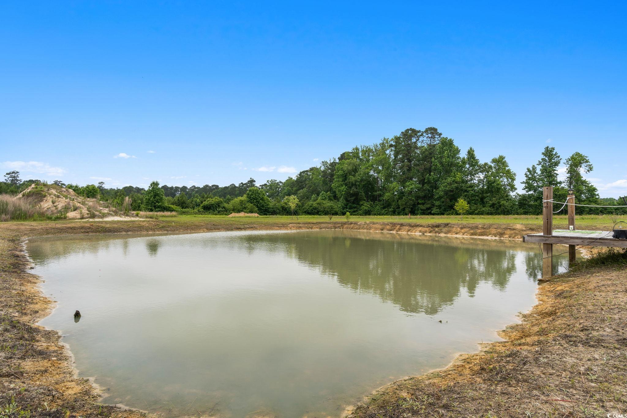 167 Dove Road Loris, SC 29569 - Photo 33 of 40 Water view
