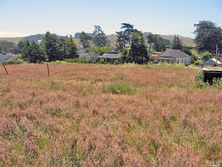 a view of a dry yard with trees