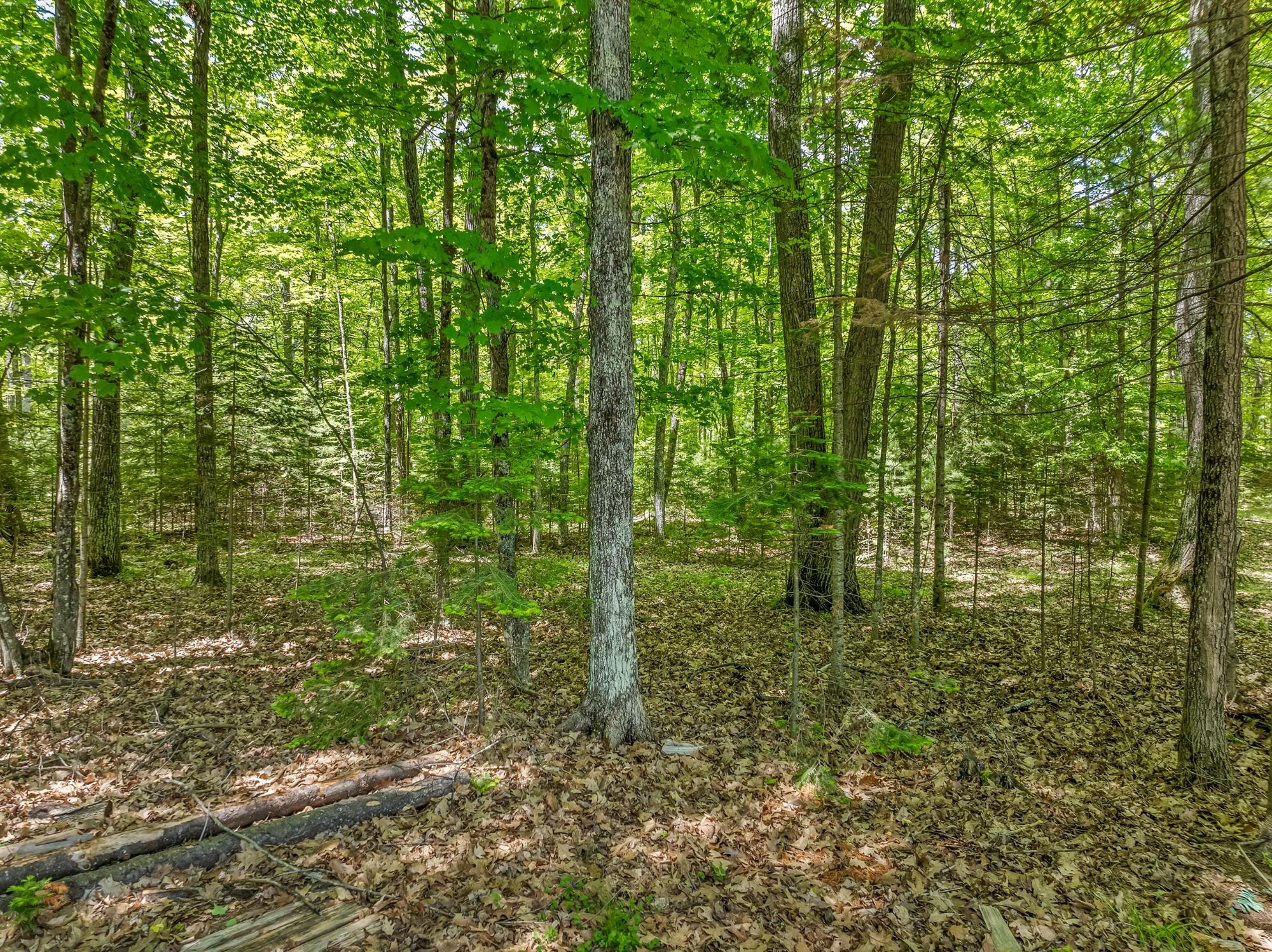 9.7-ac Twin Hill Road Conover, WI 54519 - Photo 8 of 9 Gallery Image 8