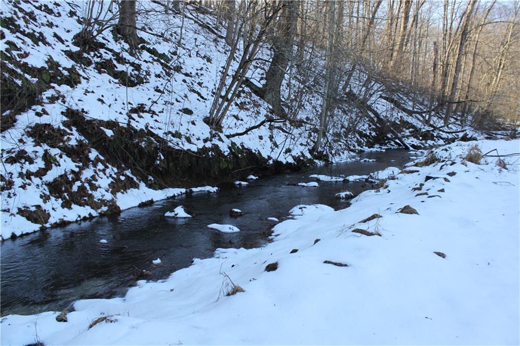 221 Two Mile Run Road Ligonier, PA 15658 - Photo 4 of 44 a view of tree