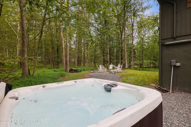 a view of a park with large trees