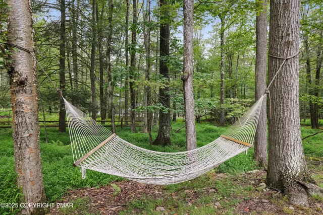 a view of a wooden bridge