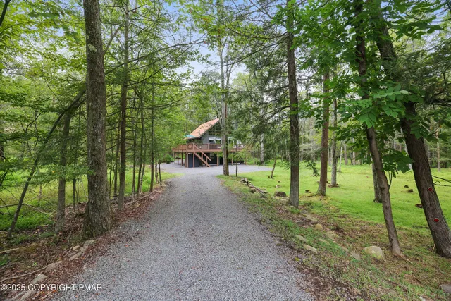 a view of a street with large trees