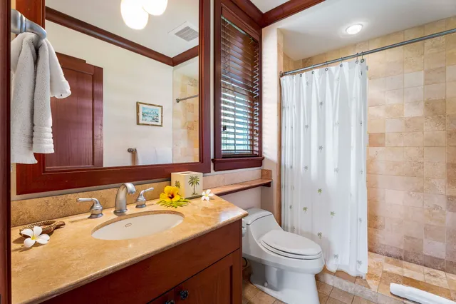 a bathroom with a granite countertop sink toilet and shower