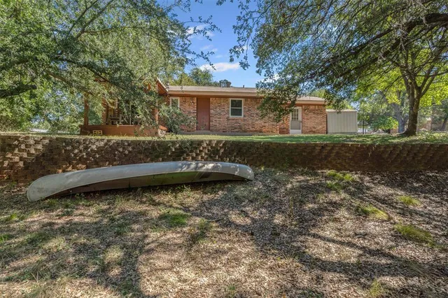 a view of a forest filled with trees