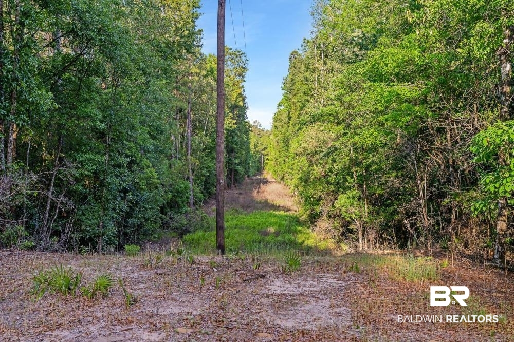 11100 Kali Oka Road Eight Mile, AL 36613 - Photo 18 of 49
