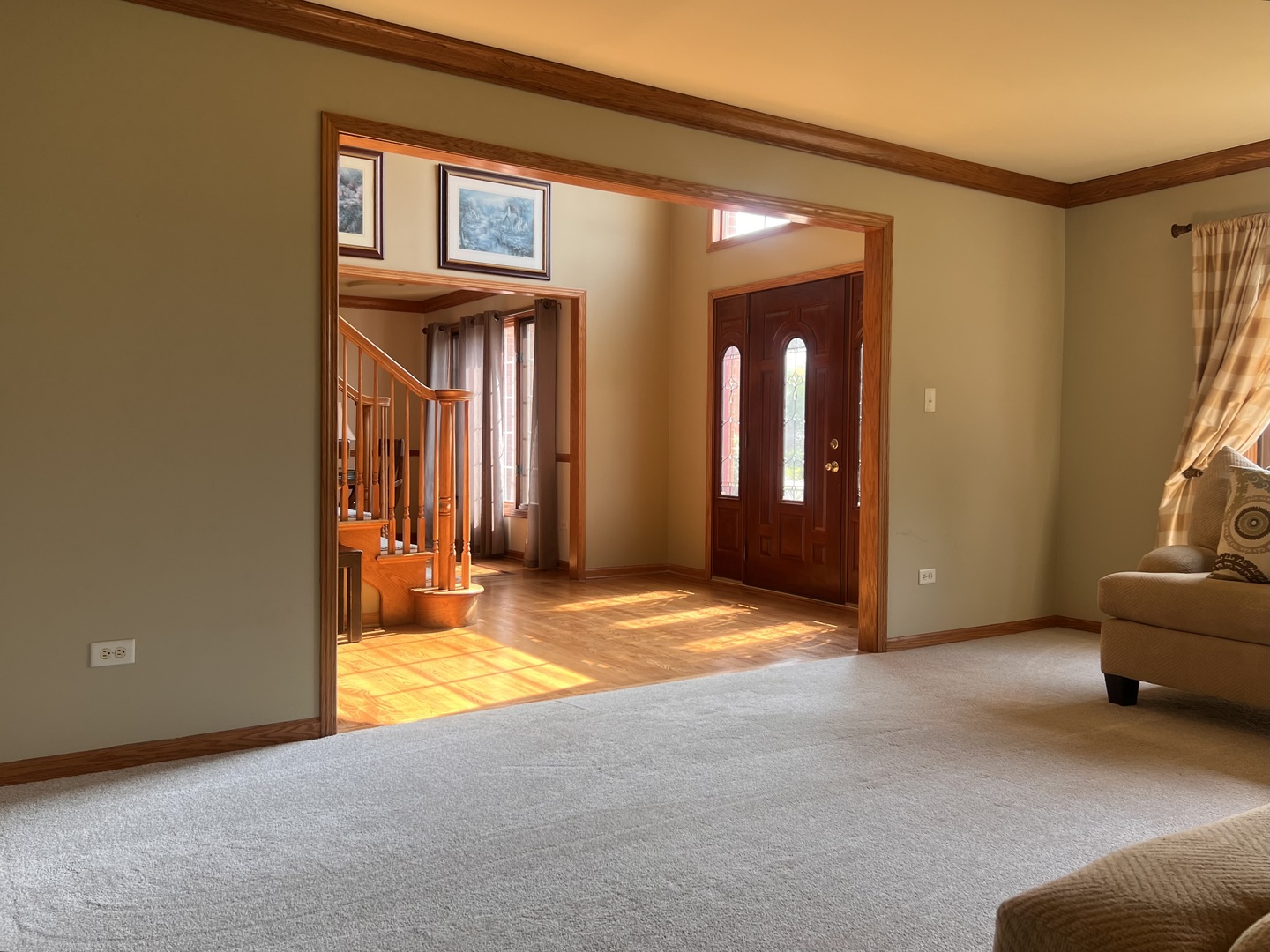 21367 Brittany Drive Frankfort, IL 60423 - Photo 15 of 58