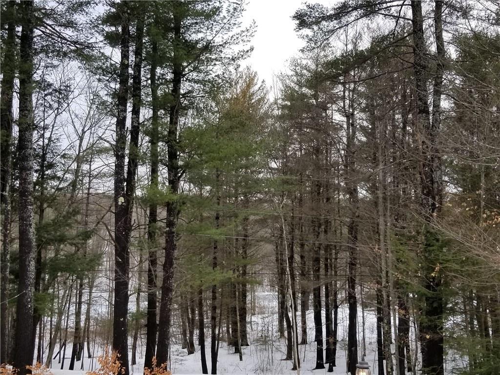 1447 Hopper Road Acton, ME 04001 - Photo 17 of 18 Photo