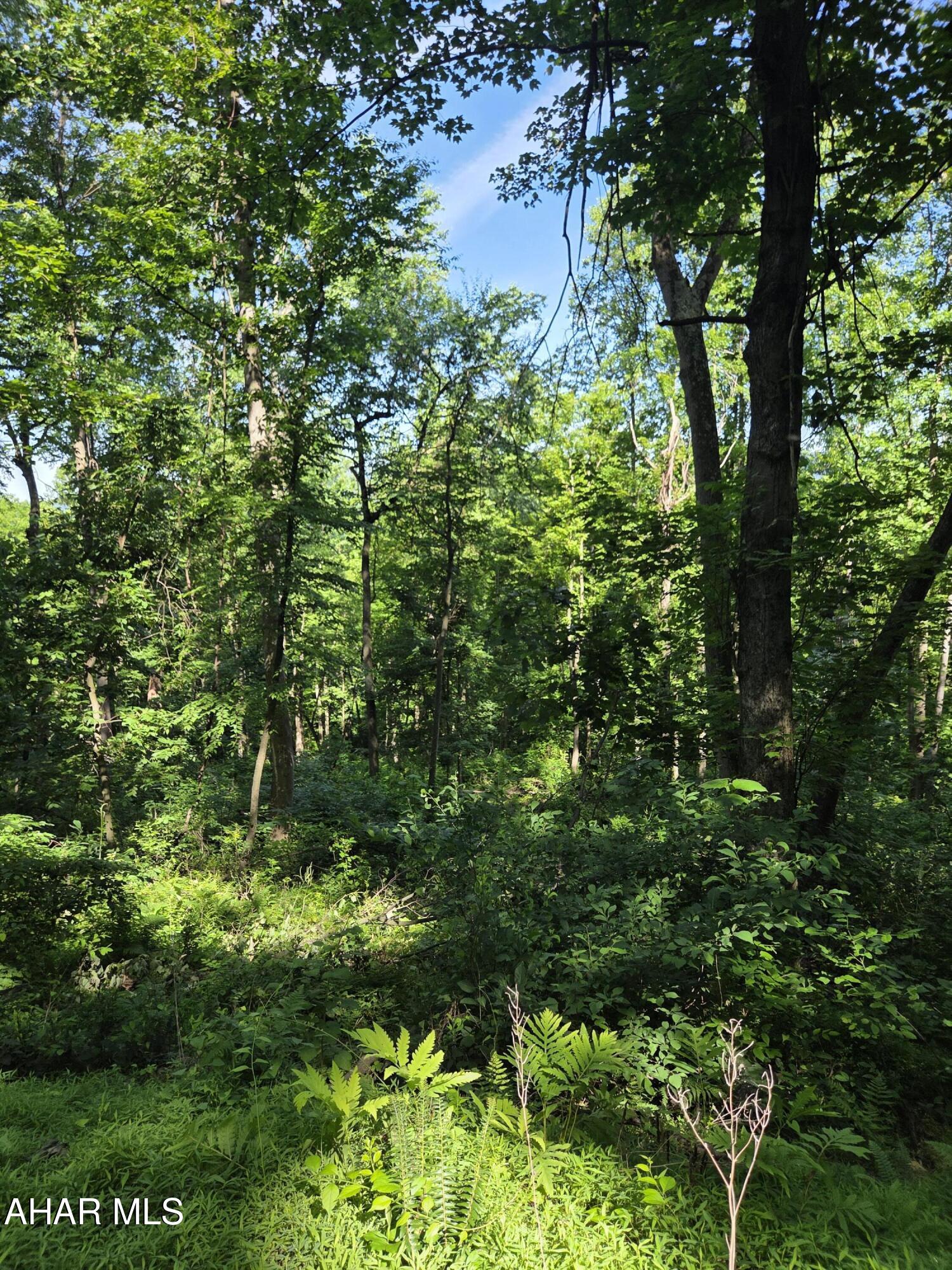 0 Sugar Ridge Road McVeytown, PA 17051 - Photo 12 of 19