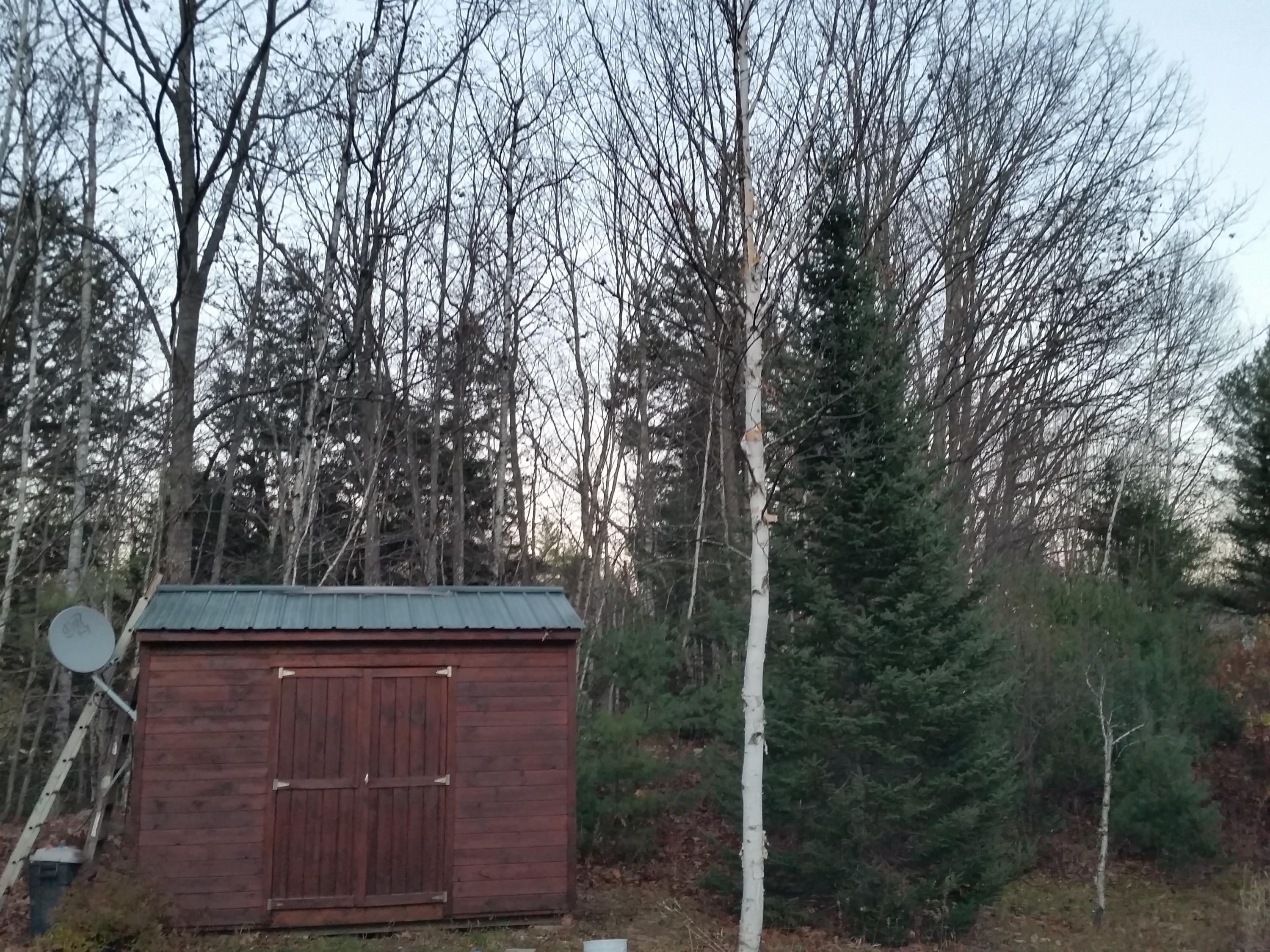197 Phillips Road Strong, ME 04983 - Photo 24 of 38 Mary Lynch 104