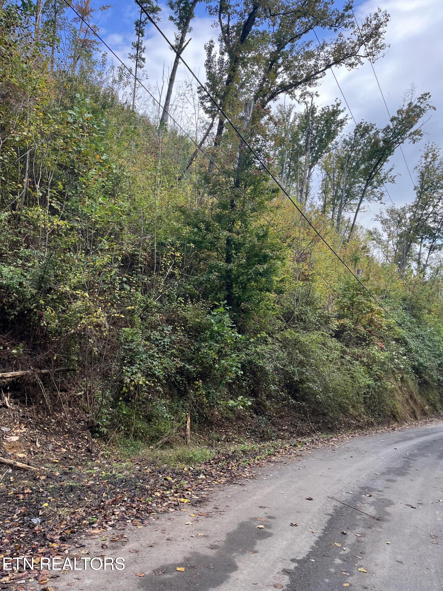 Lot 529 Deep Hollow Road Gatlinburg, TN 37738 - Photo 2 of 2 IMG_5891