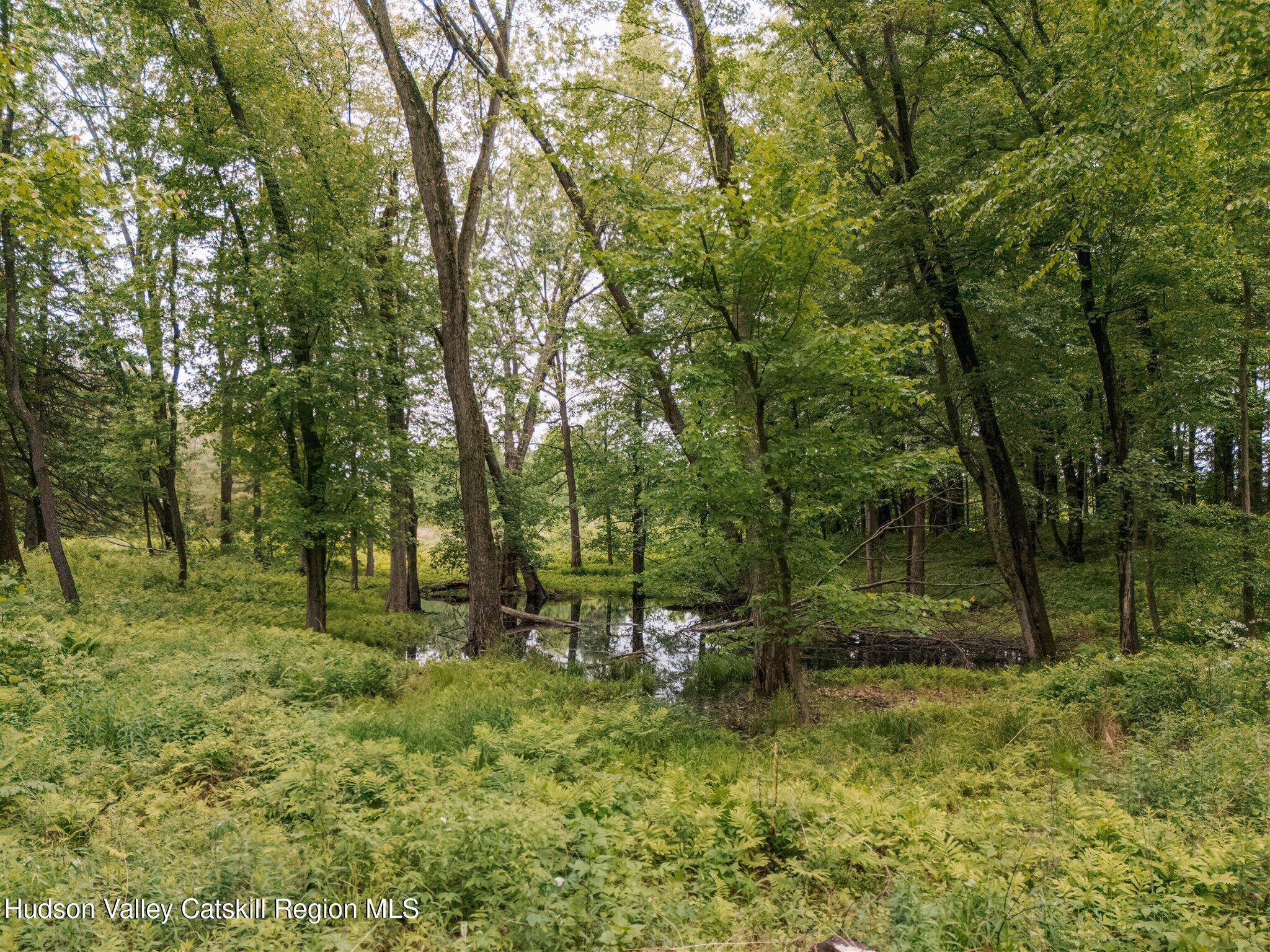 37-60 Blackburn Road Selkirk, NY 12158 - Photo 37 of 39 15