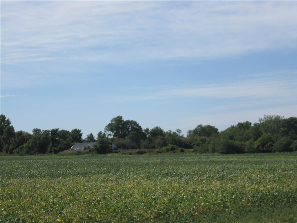 0 Italy Hill Road Branchport, NY 14418 - Photo 1 of 1