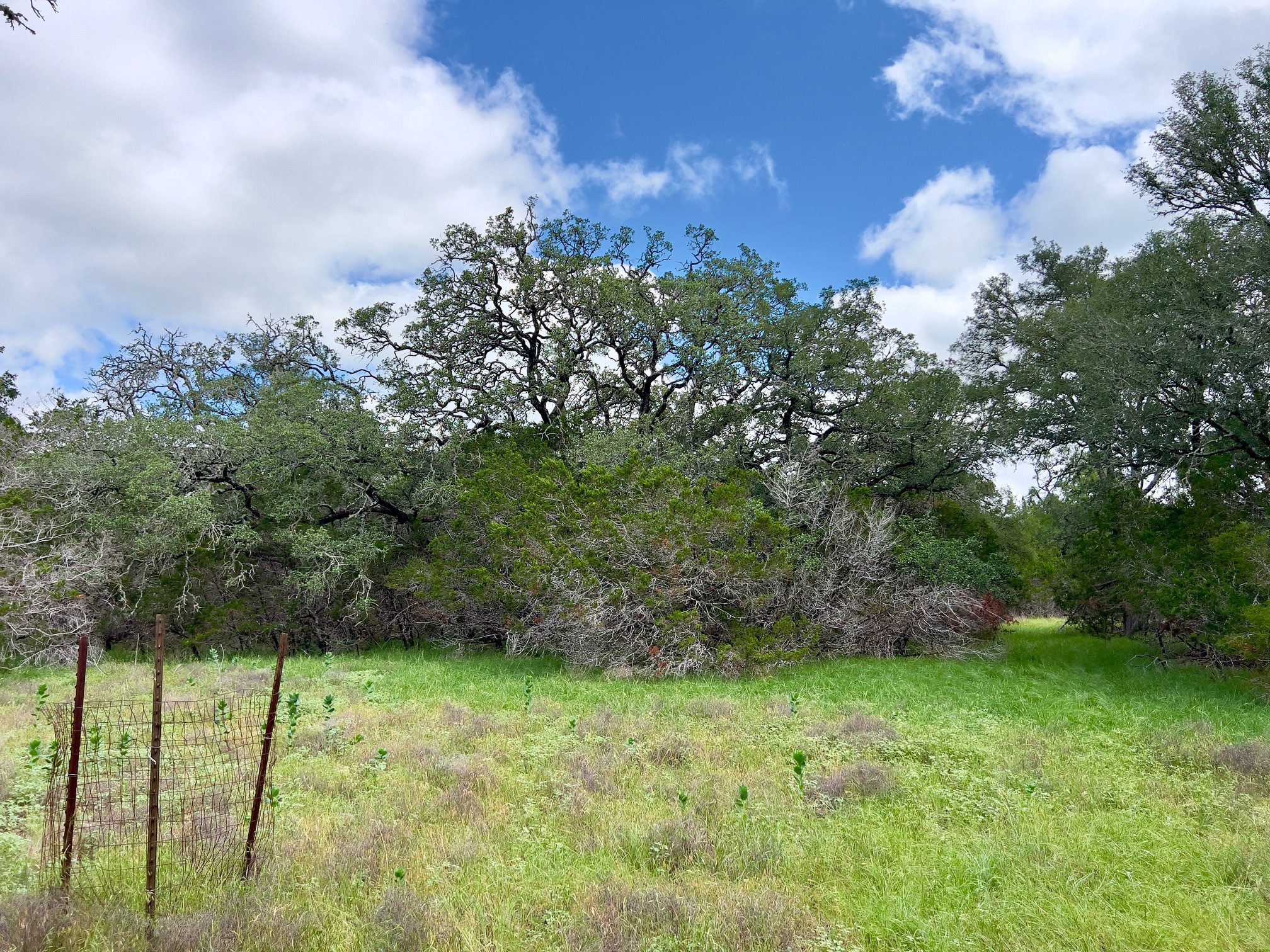 Lot 43 Narrows Road, Unit 1 Blanco, TX 78606 - Photo 6 of 8