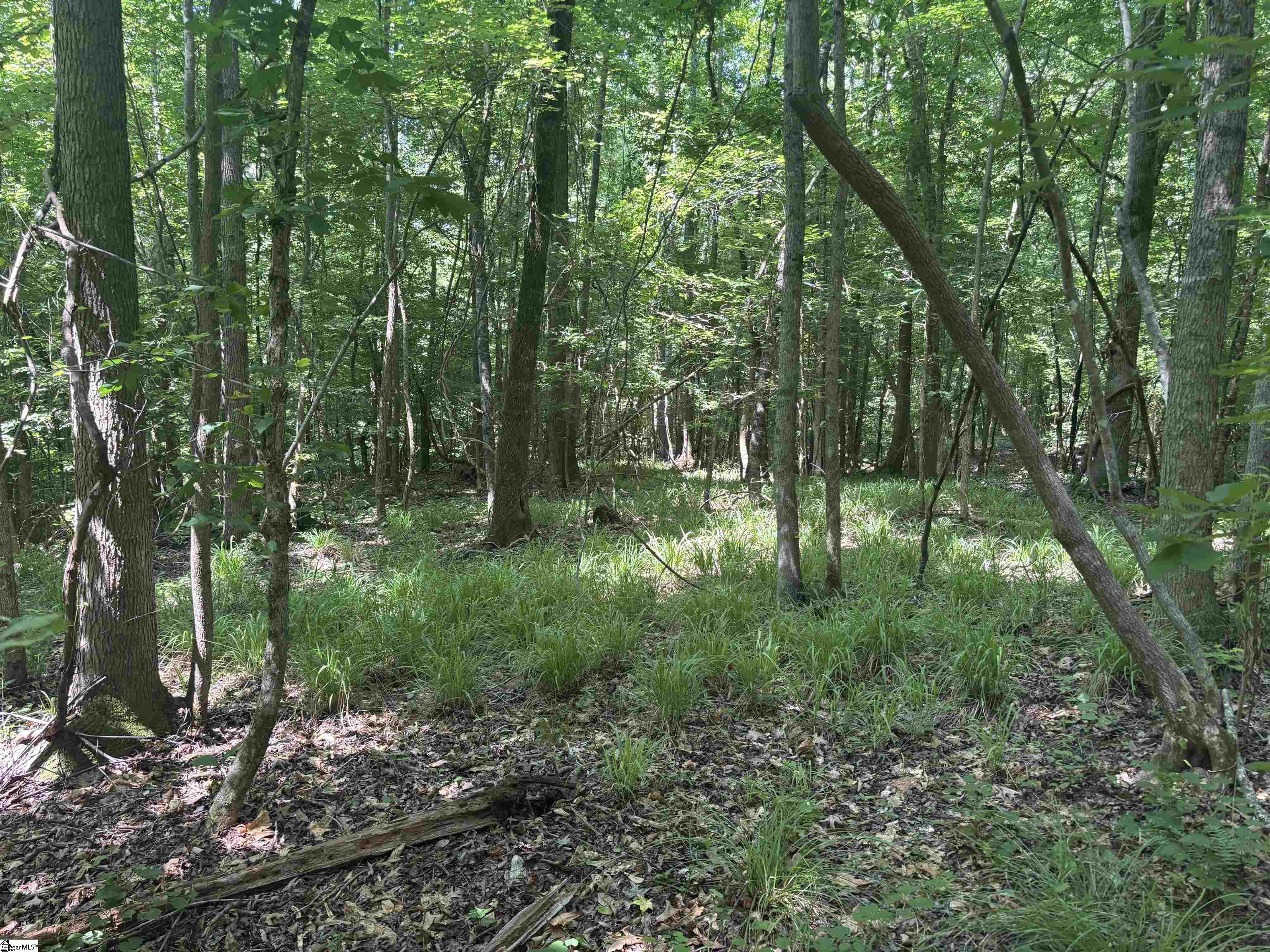 Old Calhoun Falls Road Abbeville, SC 29620 - Photo 2 of 16