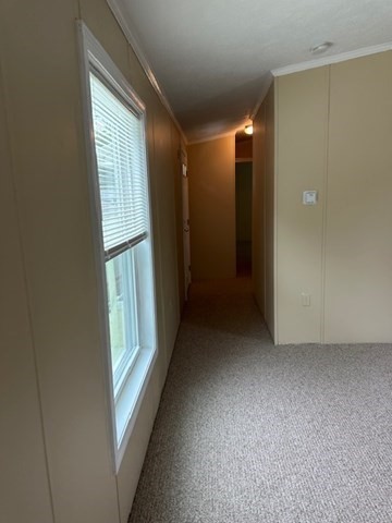 189 Springfield Road, Unit 24 Westfield, MA 01085 - Photo 11 of 22 Gallery Image 11