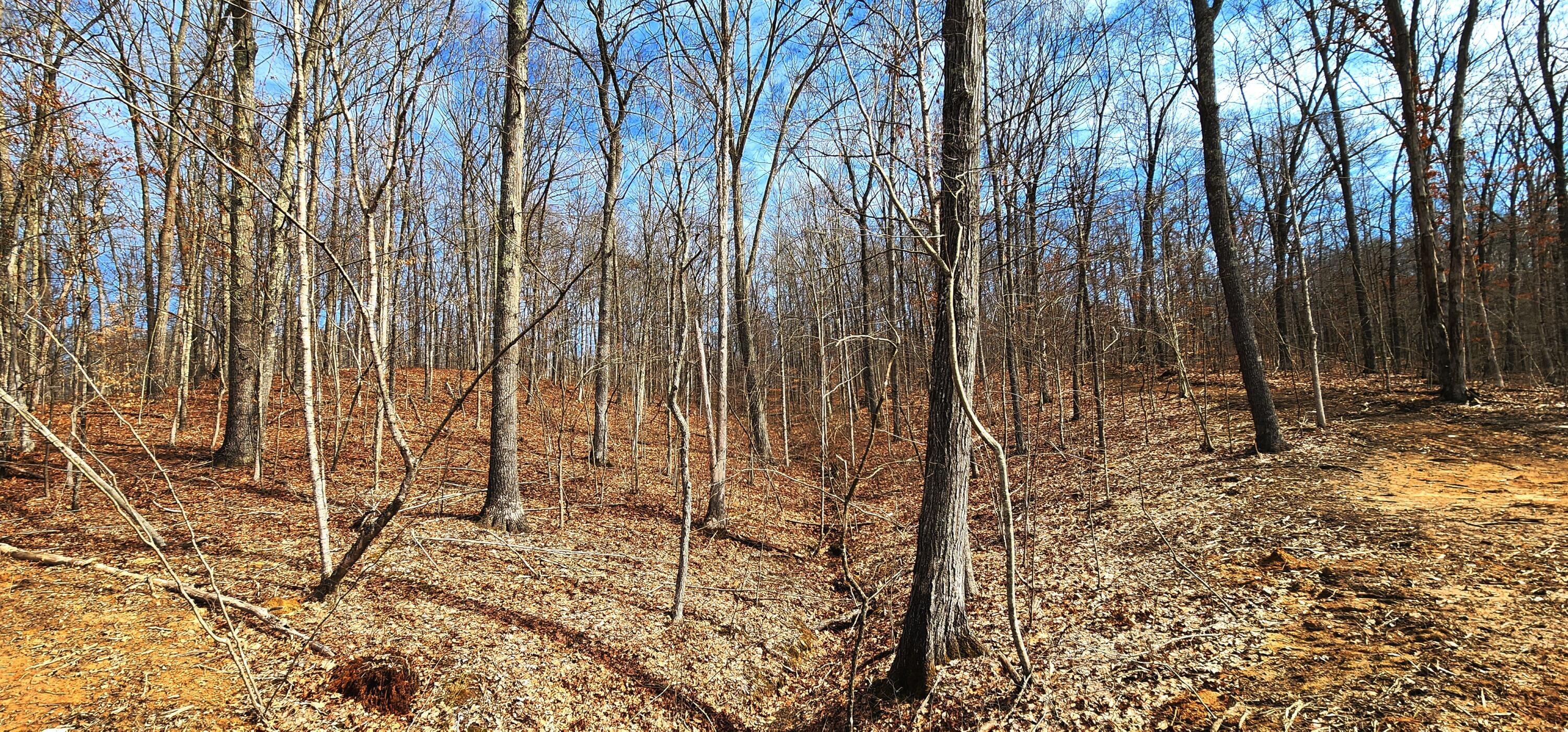 0 Edmundson Road, Unit TRACT 4 AT BIG TIMBER) Vinton, OH 45686 - Photo 19 of 67 20