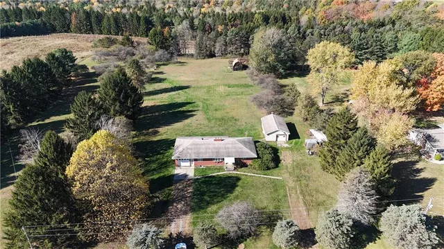 a view of a yard with plants