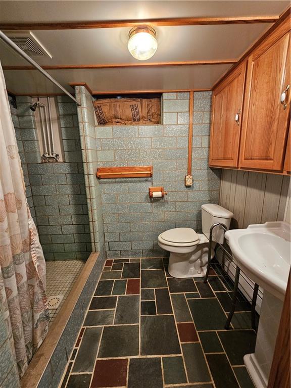 595 Wachob Road Punxsutawney, PA 15767 - Photo 35 of 50 a bathroom with a toilet and a shower