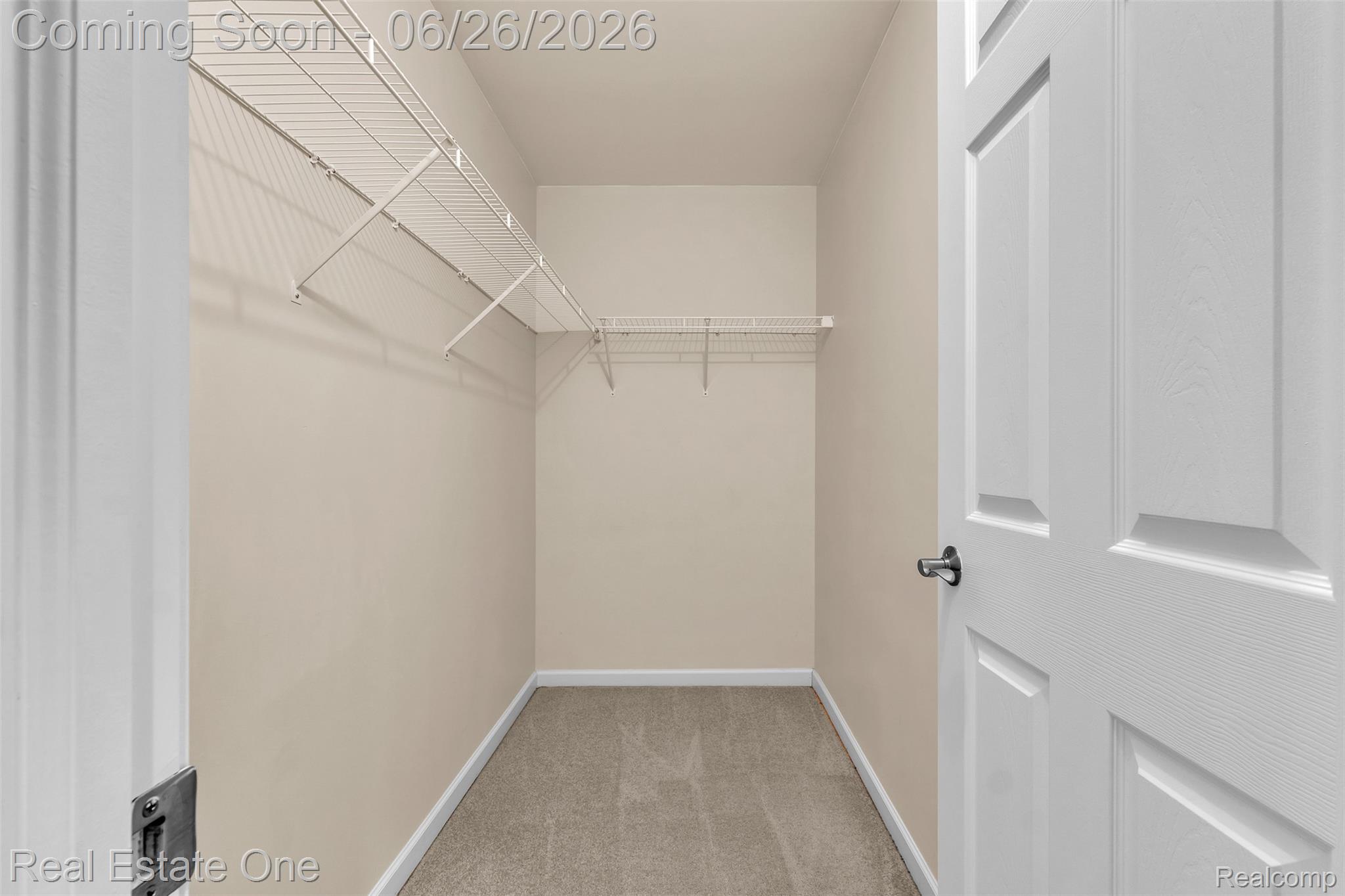 41590 Mitchell Road Novi, MI 48377 - Photo 35 of 45 Walk-in closet featuring neutral carpeting, light beige walls, and white wire shelving