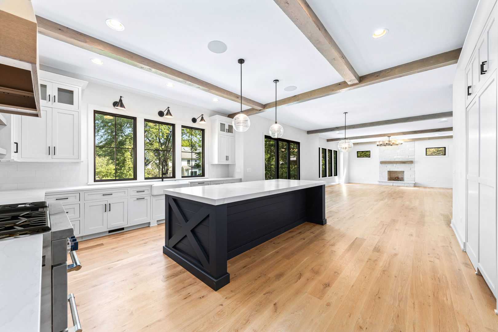 1314 Eagle Street Naperville, IL 60563 - Photo 6 of 26 a large kitchen with granite countertop a large counter top and sink
