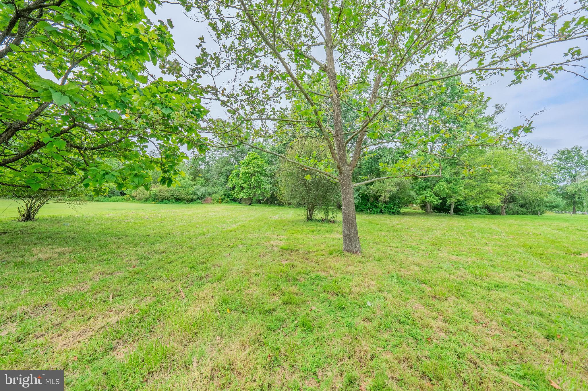 66 Rocky Ridge Road Quakertown, PA 18951 - Photo 32 of 42 Lush green expanse under a tranquil sky.