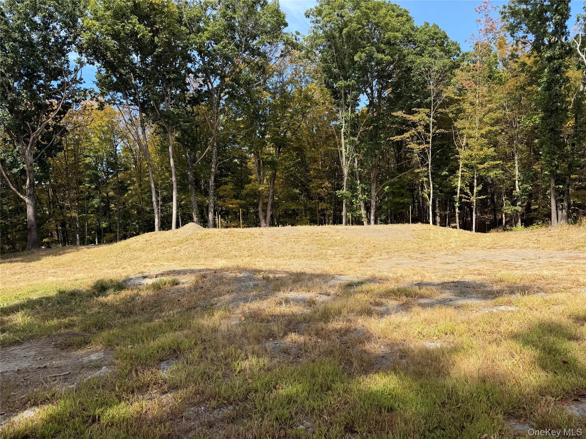 Lot 2 Church Road Red Hook, NY 12571 - Photo 6 of 16 Gallery Image 6