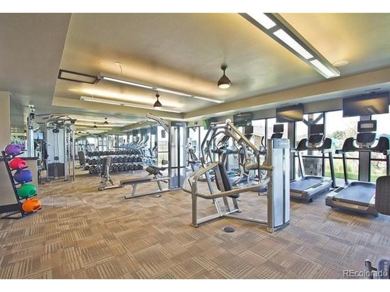 6820 Rainier Road Timnath, CO 80547 - Photo 43 of 50 Workout Area!