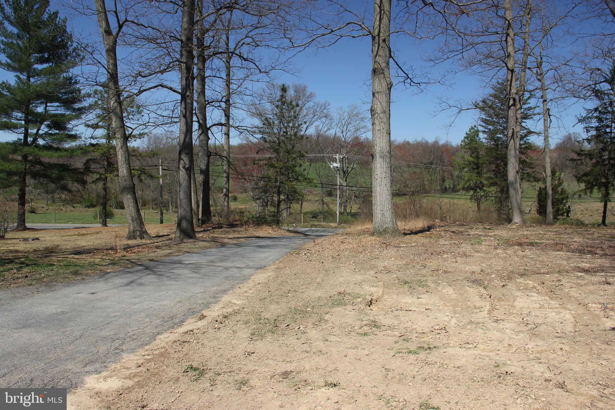 1724 Theodore Road Rising Sun, MD 21911 - Photo 25 of 27 Front yard.
