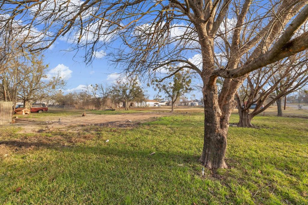 605 East Adams Street Itasca, TX 76055 - Photo 15 of 23 a view of yard with trees