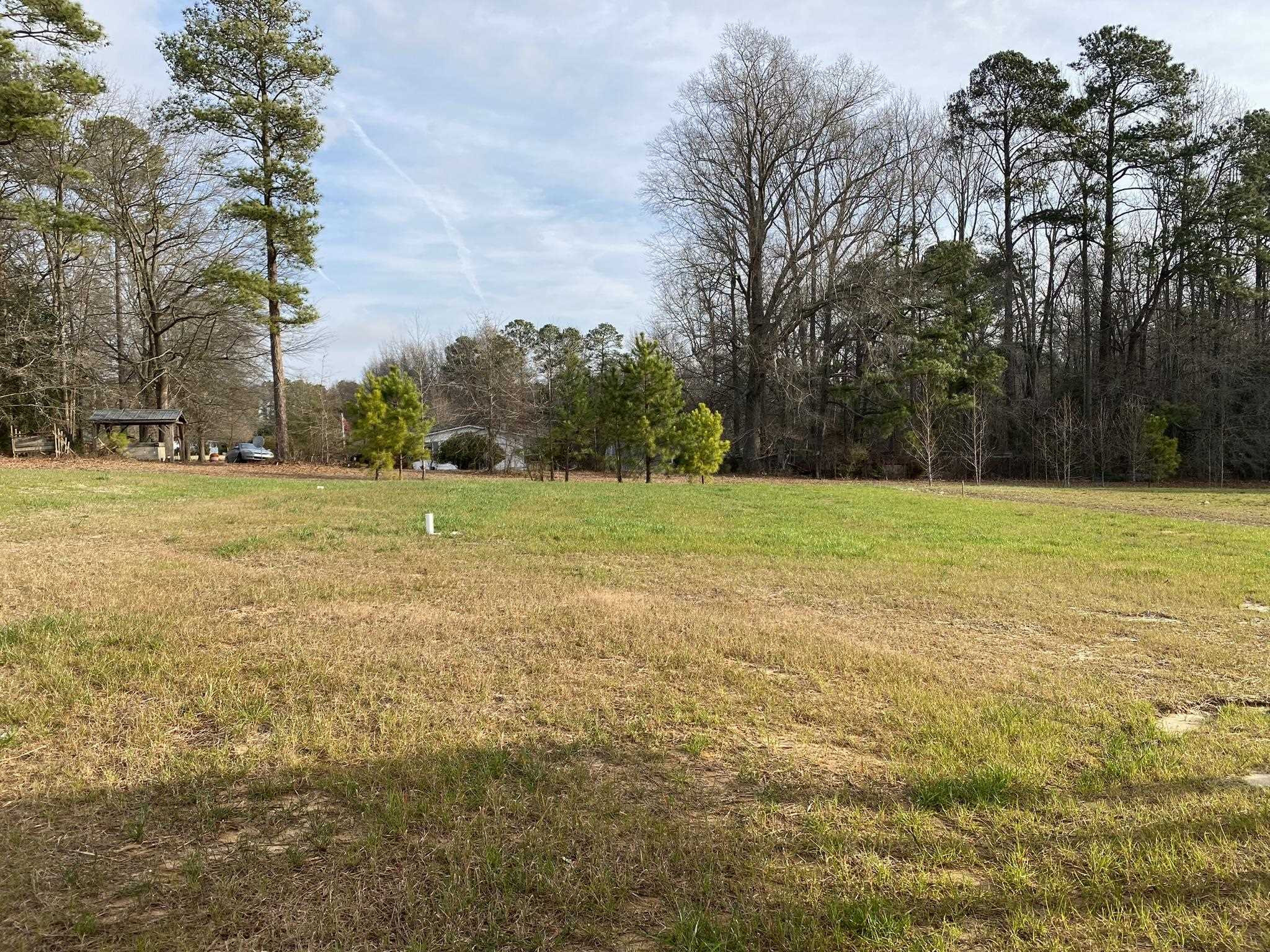 75 Buckstone Place Willow Spring, NC 27592 - Photo 32 of 32 a view of a field with trees in front of it