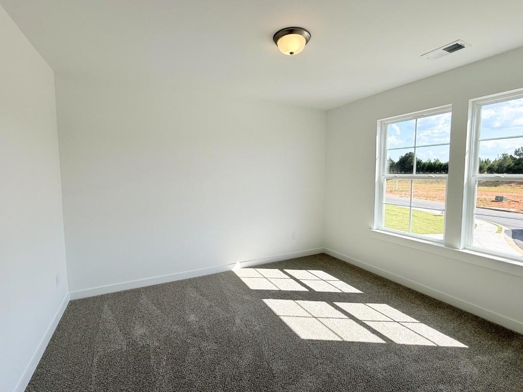 123 Purackal Lane Statham, GA 30666 - Photo 23 of 49 an empty room with windows