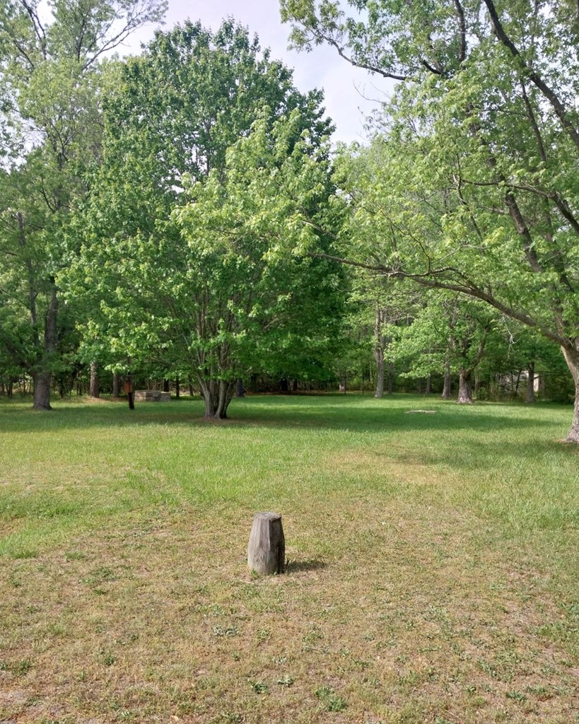 Lot 62 Savannah Road, Unit 62 Hallwood, VA 23359 - Photo 2 of 5