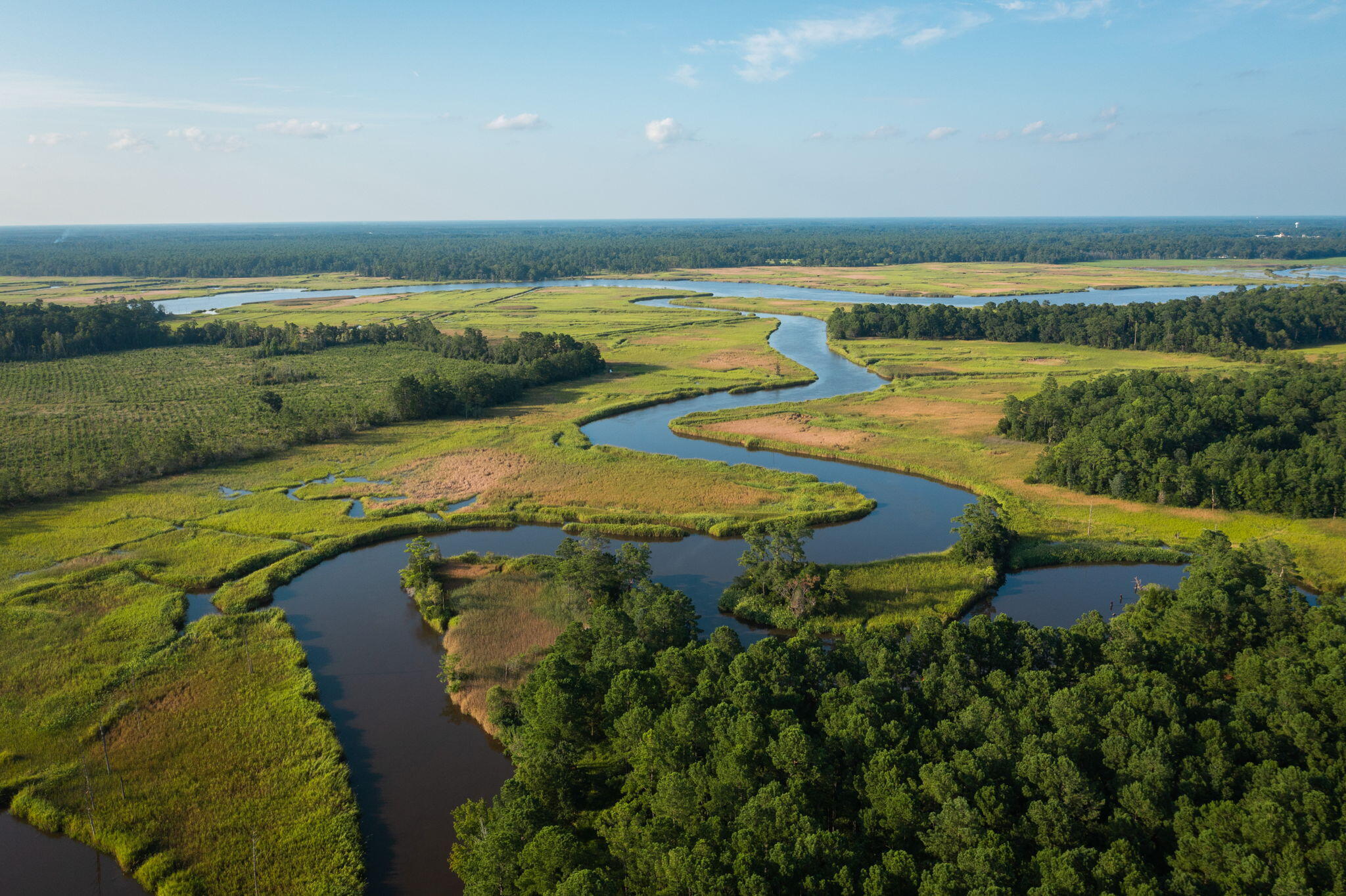 205 Fiddlers Loop Georgetown, SC 29440 - Photo 54 of 54 77-web-or-mls-AERIAL_205FL_030