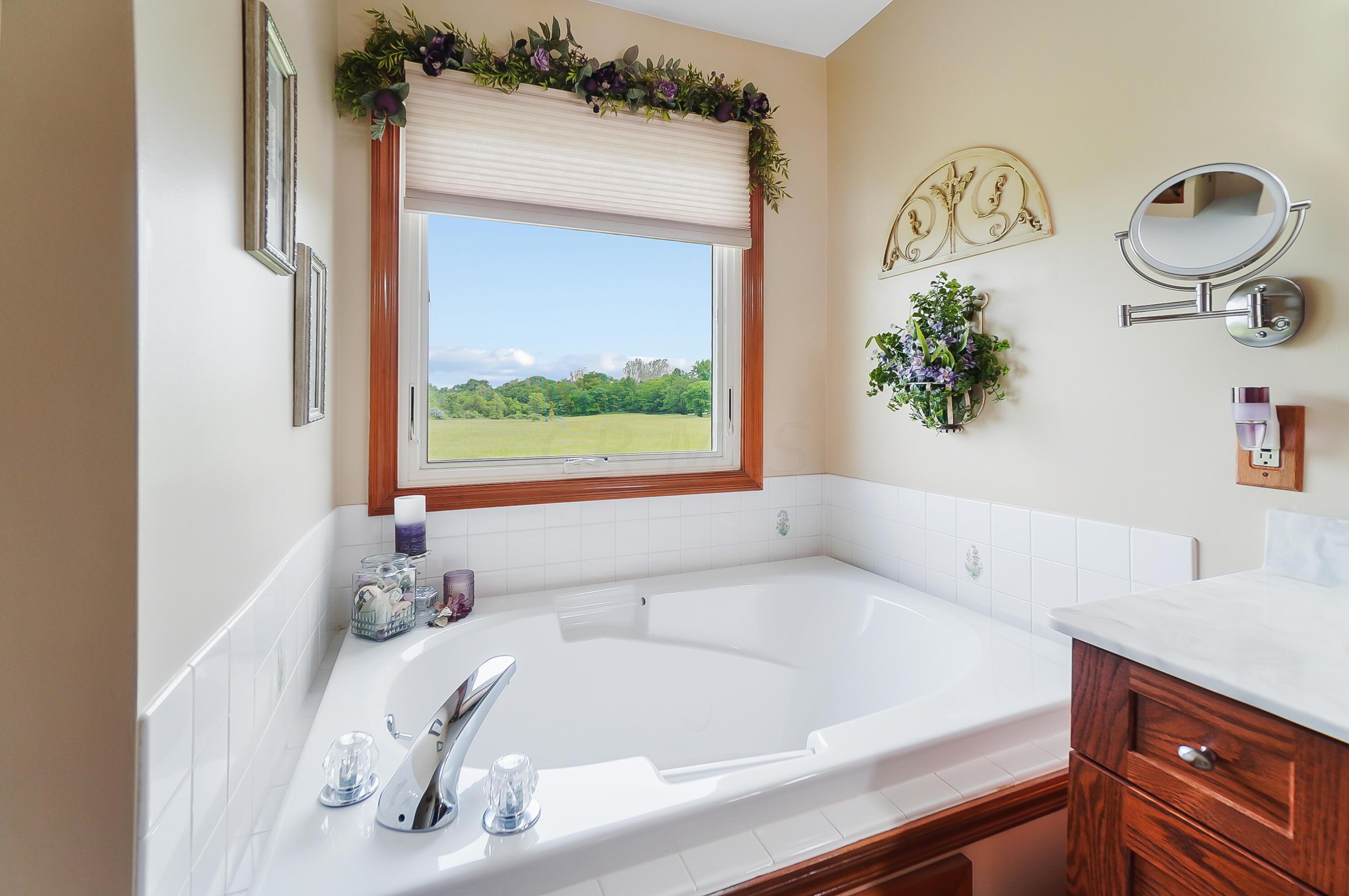25060 East Liberty Road Raymond, OH 43067 - Photo 50 of 103 0243