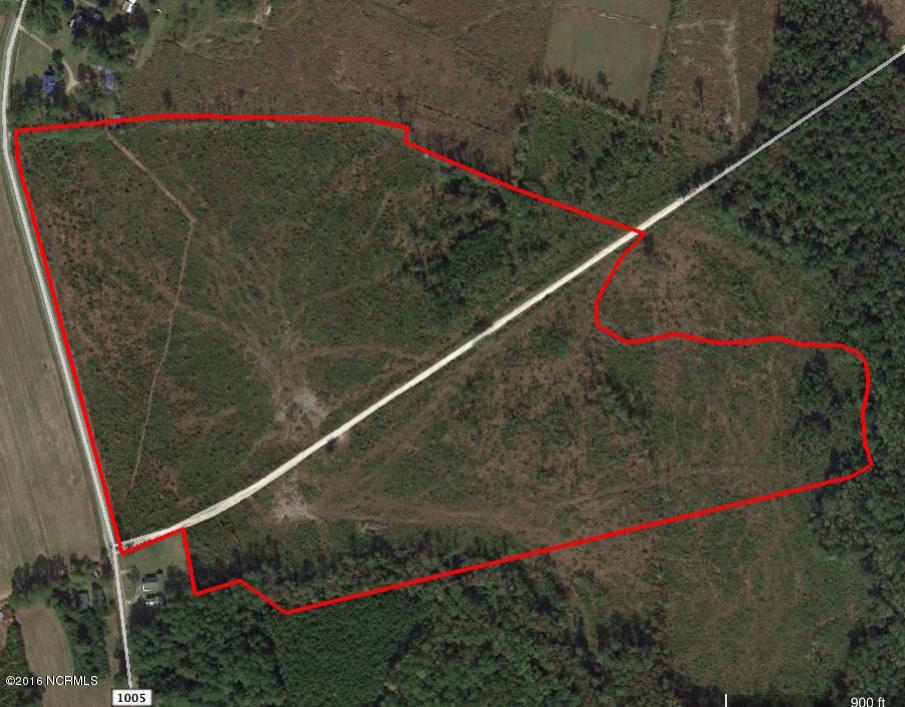 85 Acres Off Neuse Road Grantsboro, NC 28529 - Photo 1 of 31 Brinson 85 ac Pamlico Co
