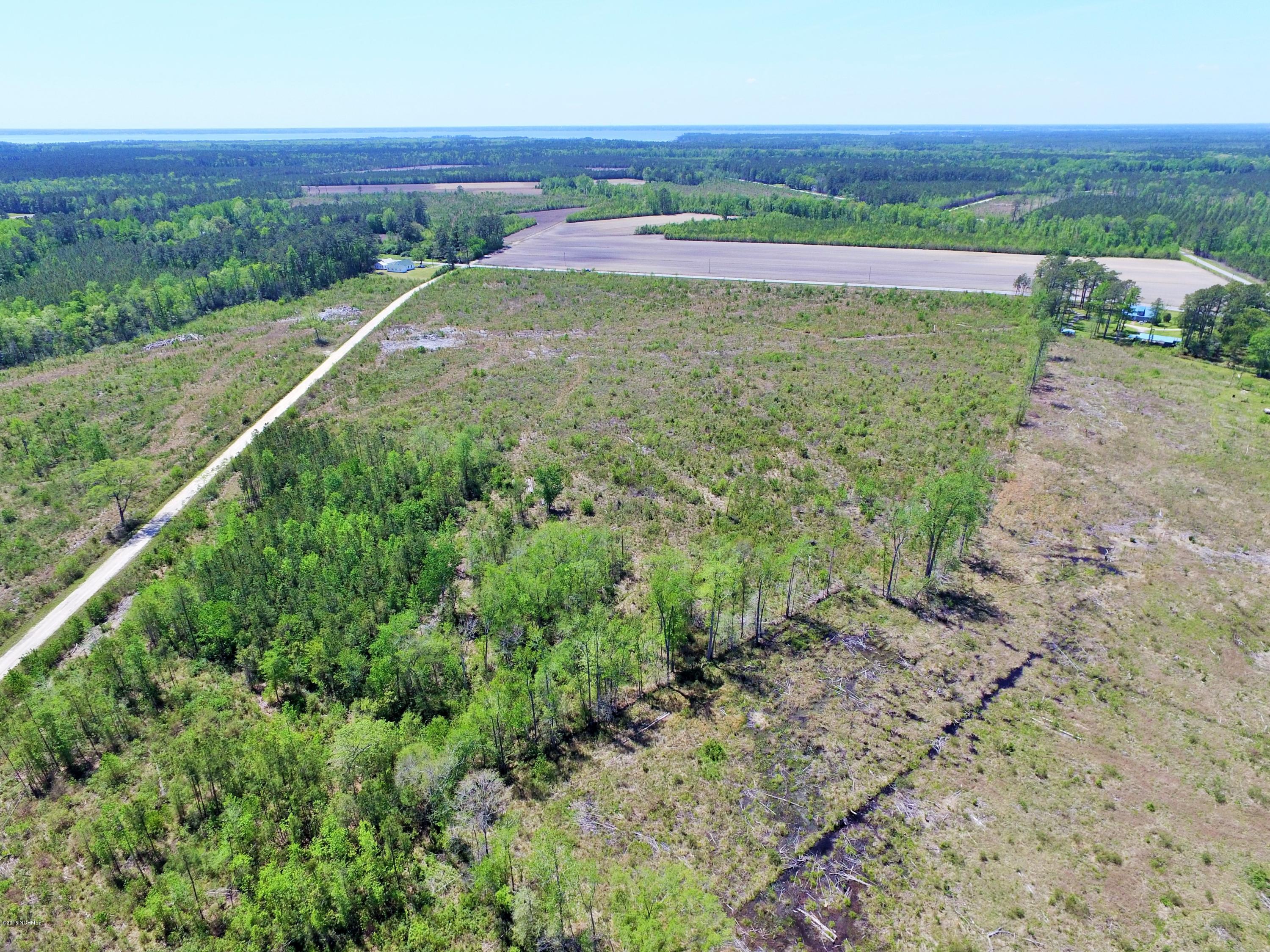 85 Acres Off Neuse Road Grantsboro, NC 28529 - Photo 11 of 31 9