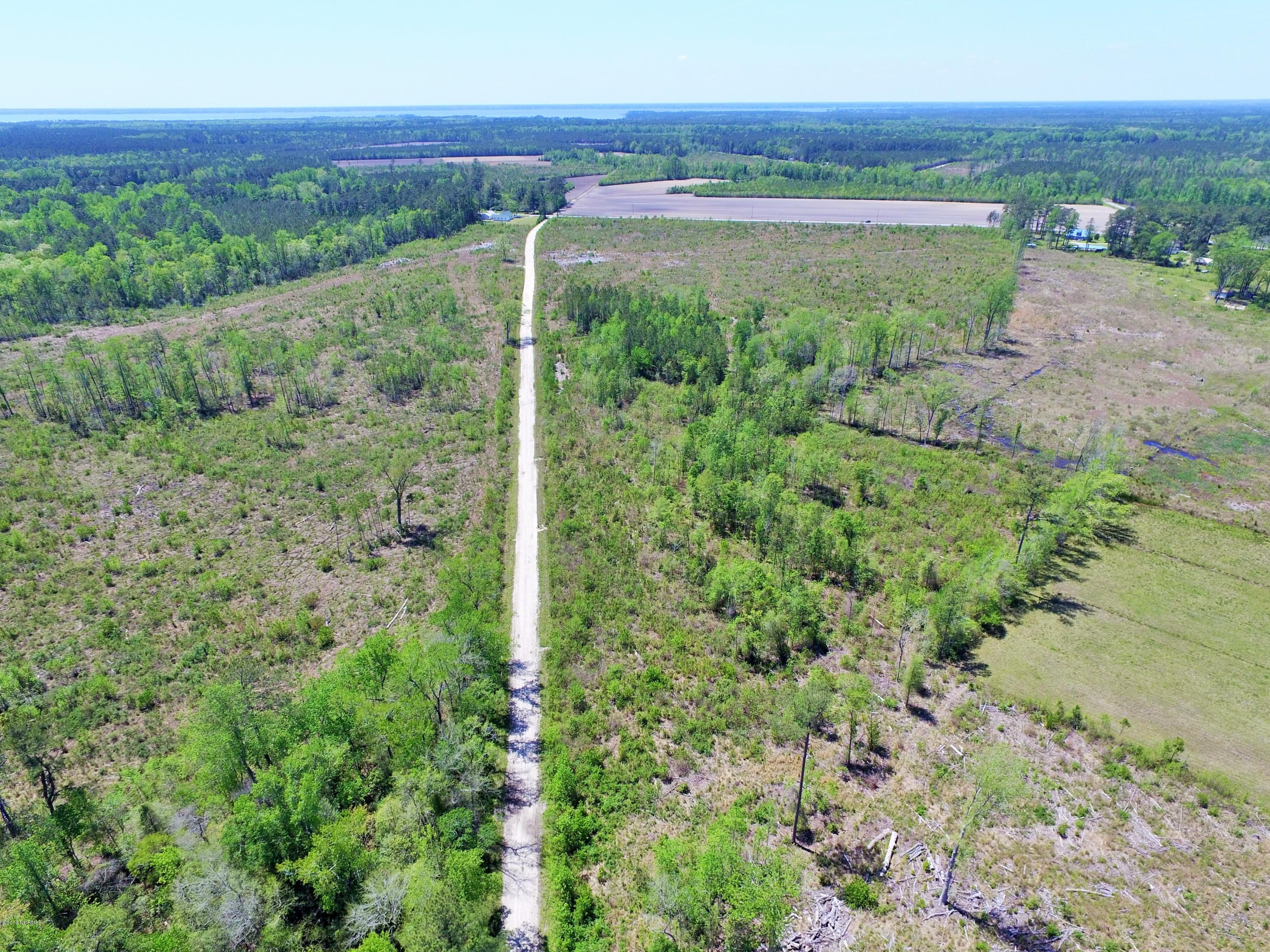 85 Acres Off Neuse Road Grantsboro, NC 28529 - Photo 12 of 31 10