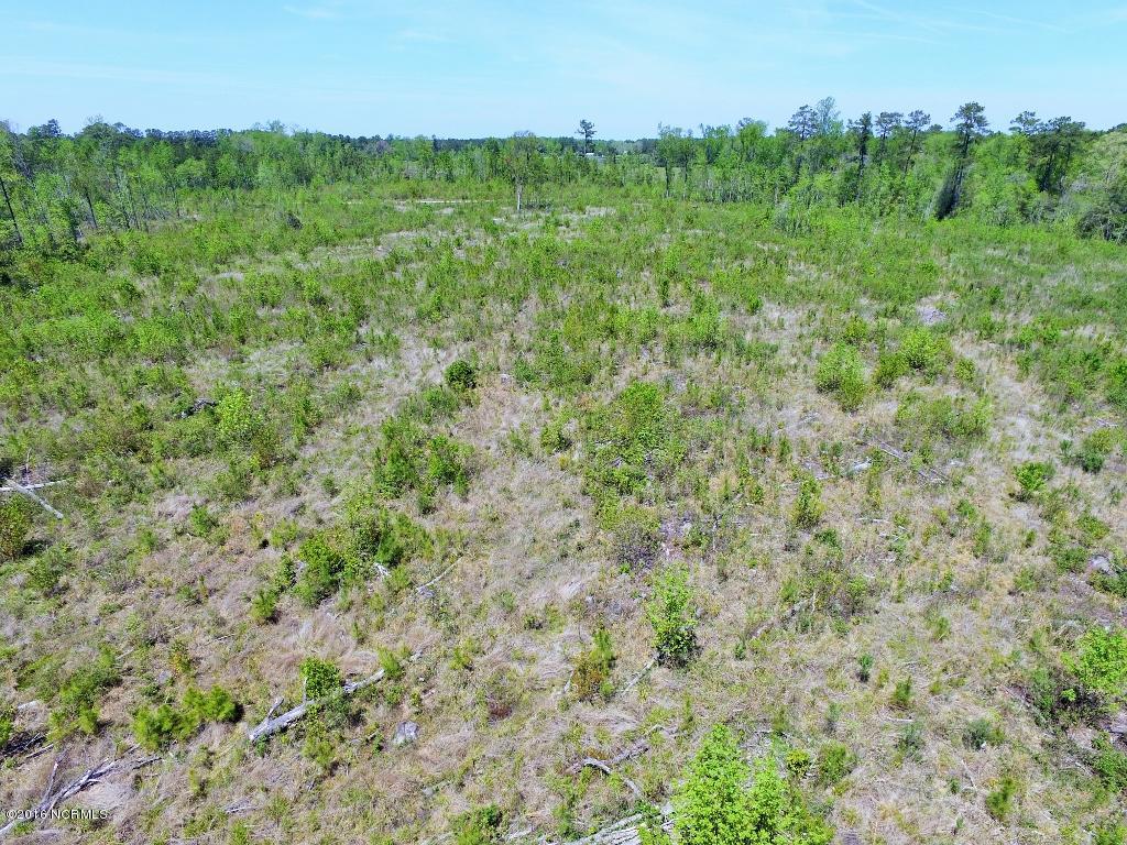 85 Acres Off Neuse Road Grantsboro, NC 28529 - Photo 15 of 31 14