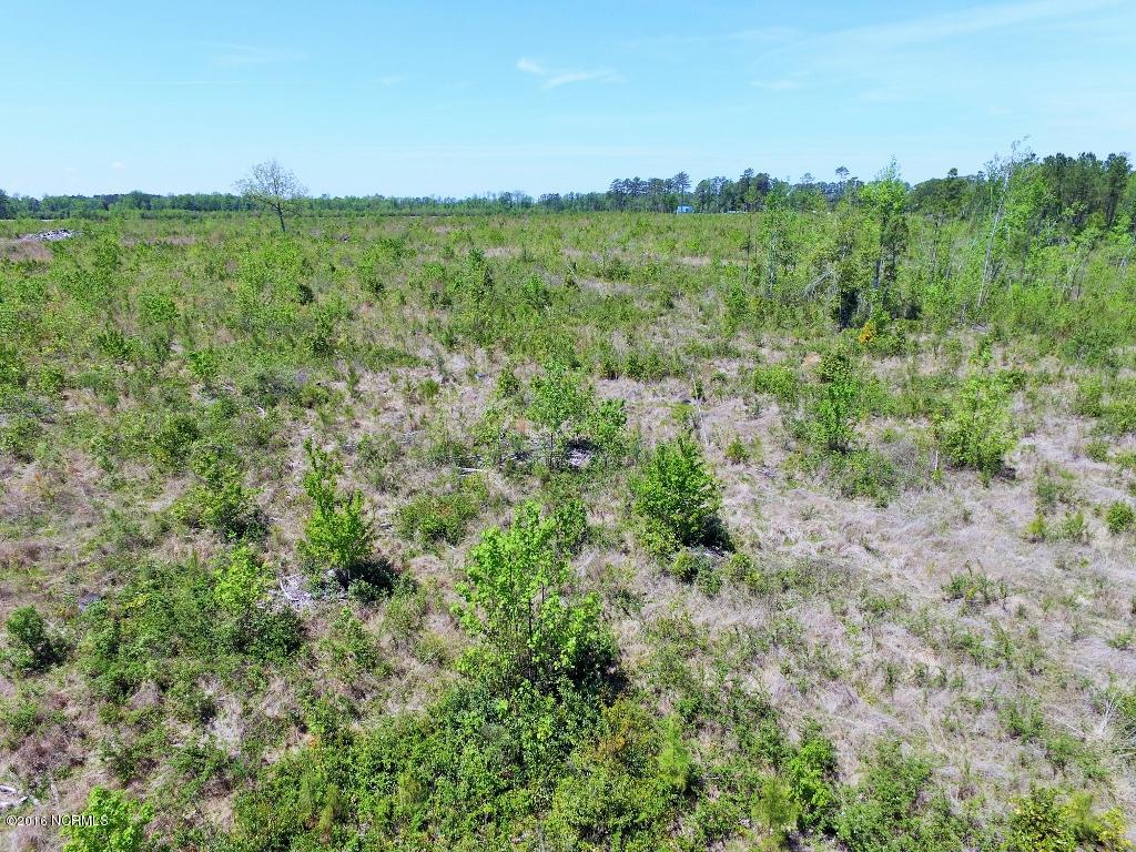 85 Acres Off Neuse Road Grantsboro, NC 28529 - Photo 16 of 31 15