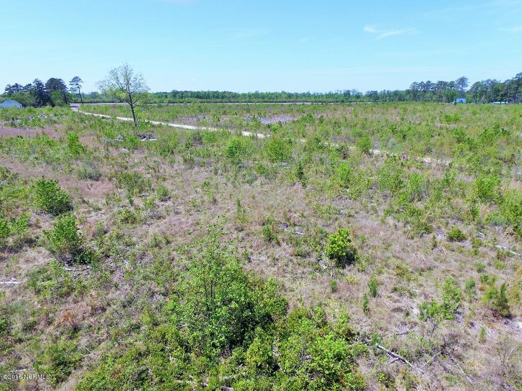 85 Acres Off Neuse Road Grantsboro, NC 28529 - Photo 18 of 31 17