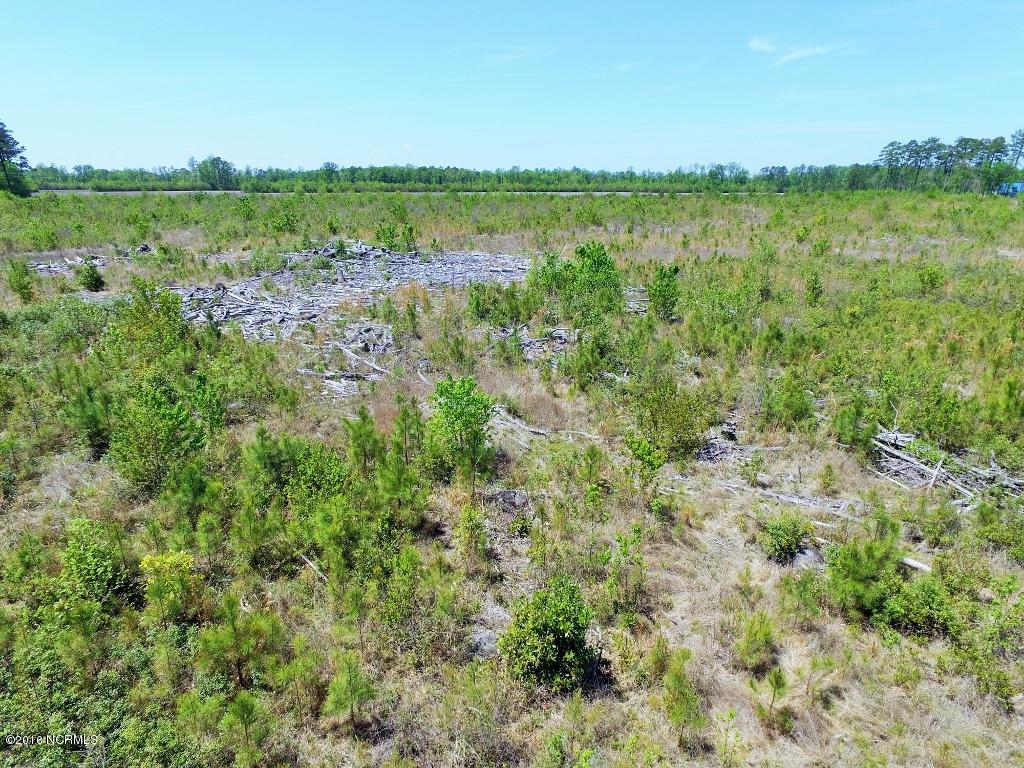 85 Acres Off Neuse Road Grantsboro, NC 28529 - Photo 19 of 31 18