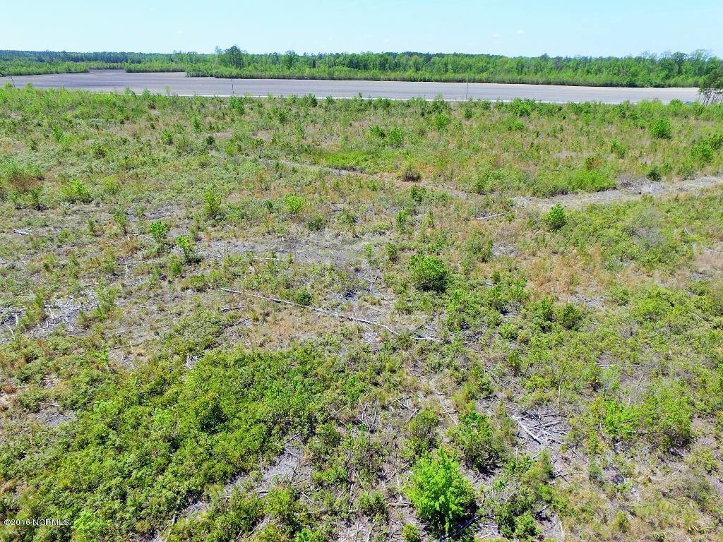 85 Acres Off Neuse Road Grantsboro, NC 28529 - Photo 20 of 31 19